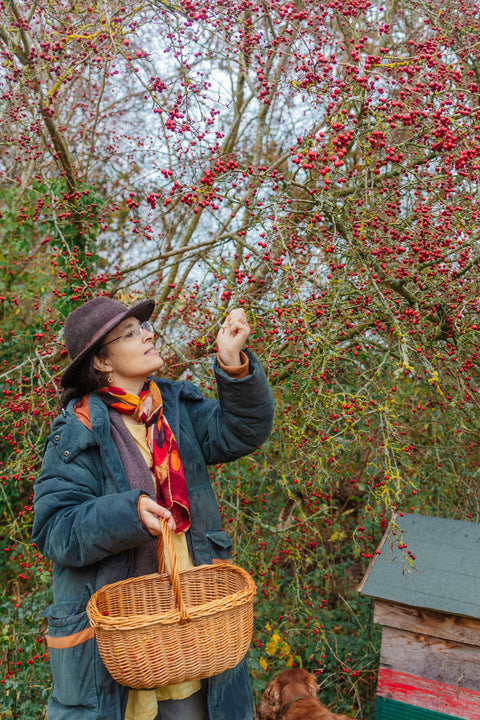 How our Clarity herbs are wintering