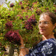 Sip & Scribble - botanical ink making and painting workshop