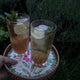 Sip & Stroll: The Meadow Sessions