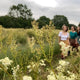 Sip & Stroll: The Meadow Sessions