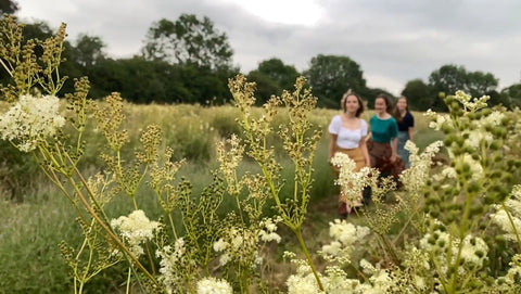 Sip & Stroll: The Meadow Sessions