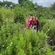 Herb Walk & Tea Tasting