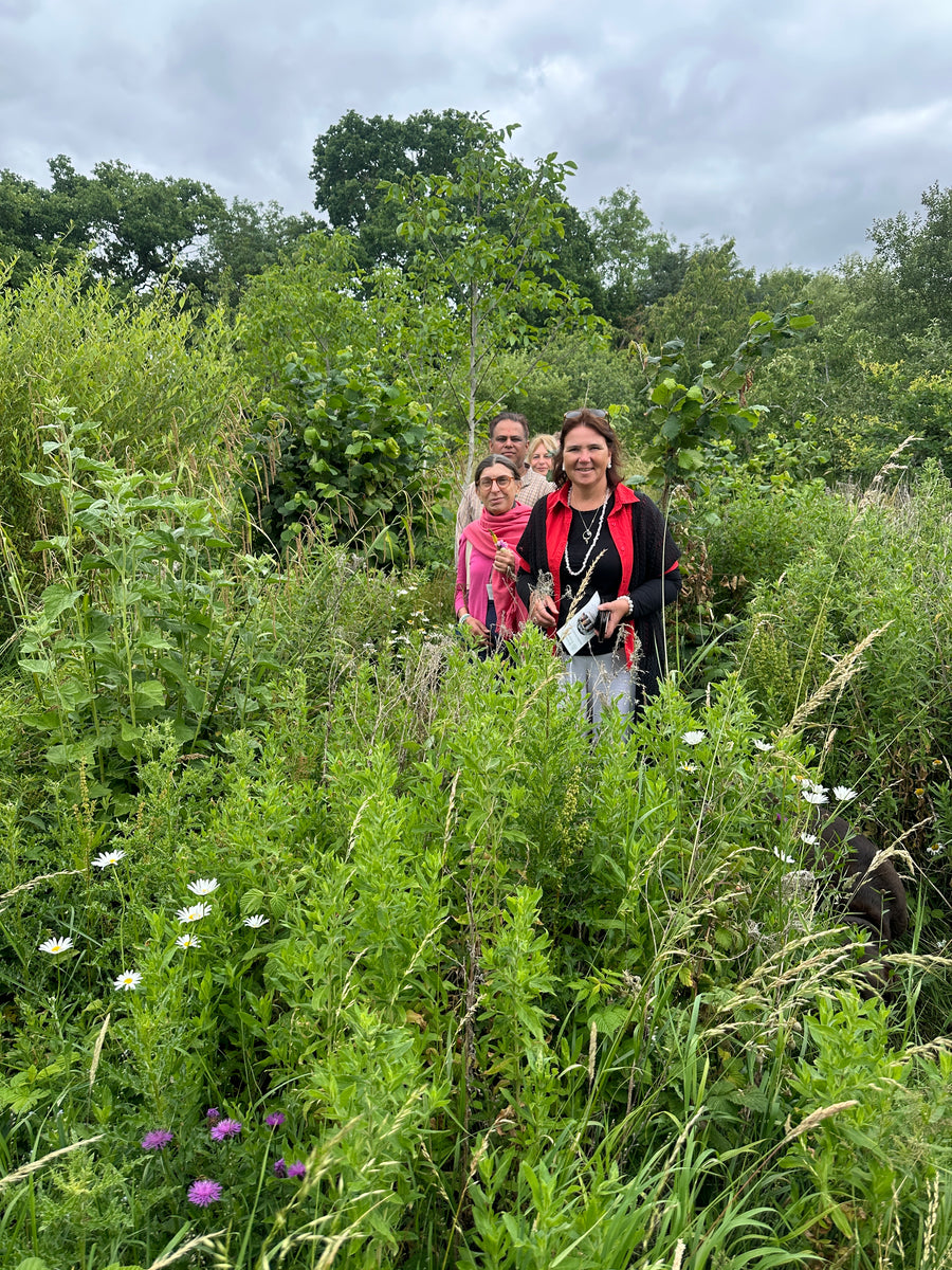 Herb Walk & Tea Tasting