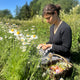 Sip & Stroll: The Meadow Sessions