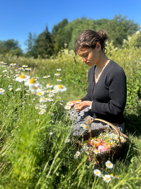 Sip & Stroll: The Meadow Sessions