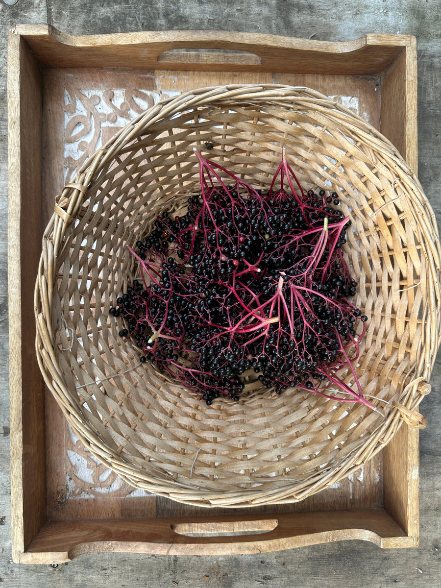 Herbal home-made remedies workshops