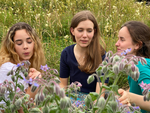 Sip & Stroll: The Meadow Sessions