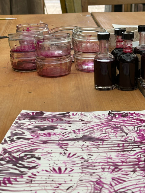 Sip & Scribble - botanical ink making and painting workshop