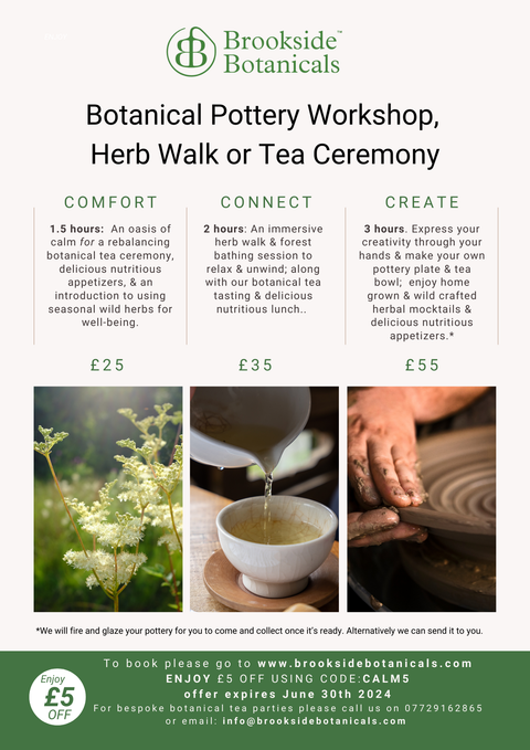 CONNECT ~ Tea Ceremony & Herb Walk