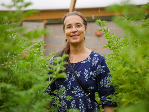 Herb Walk & Tea Tasting